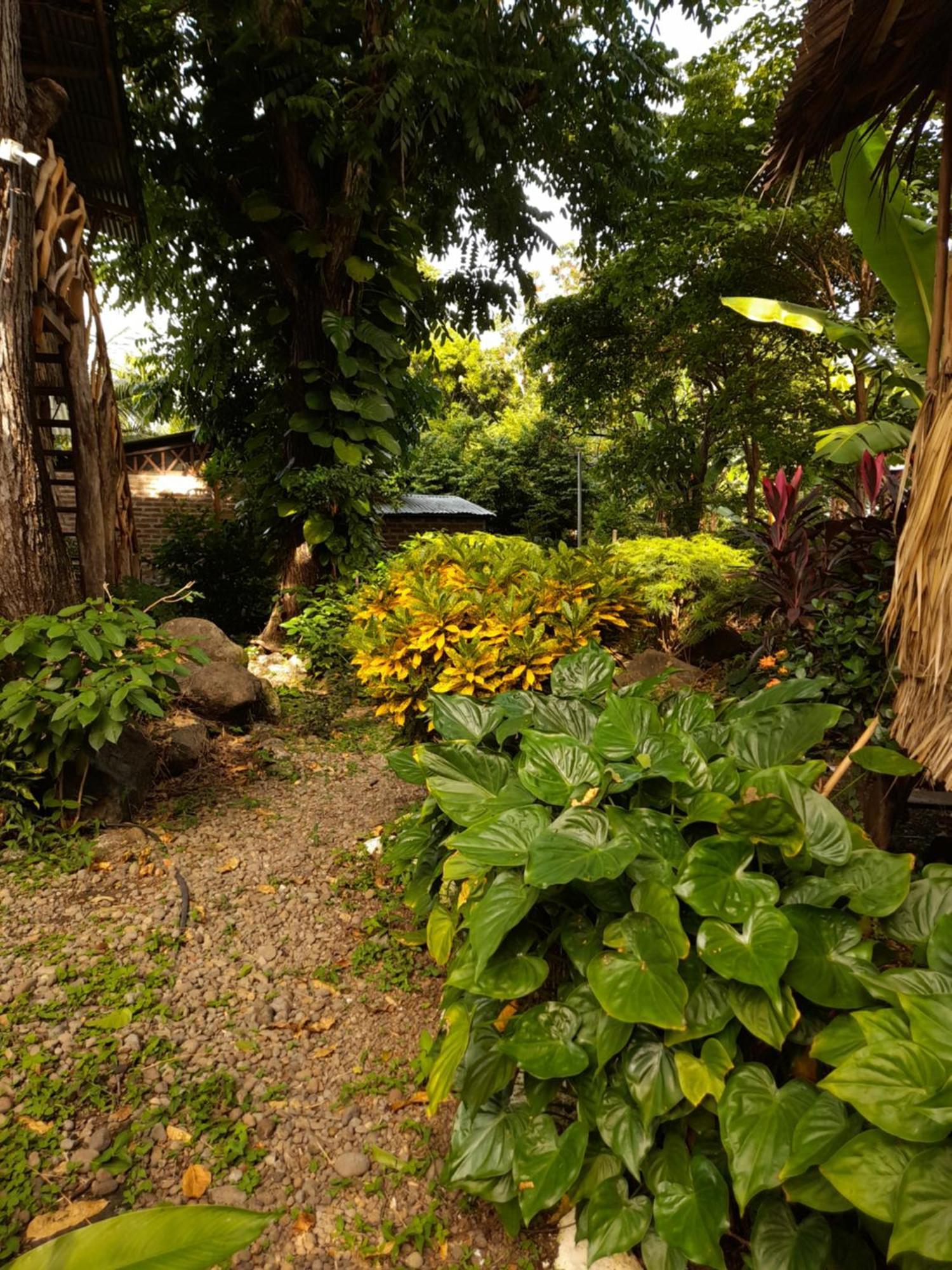 El Bamboo Cabins Balgue Екстер'єр фото