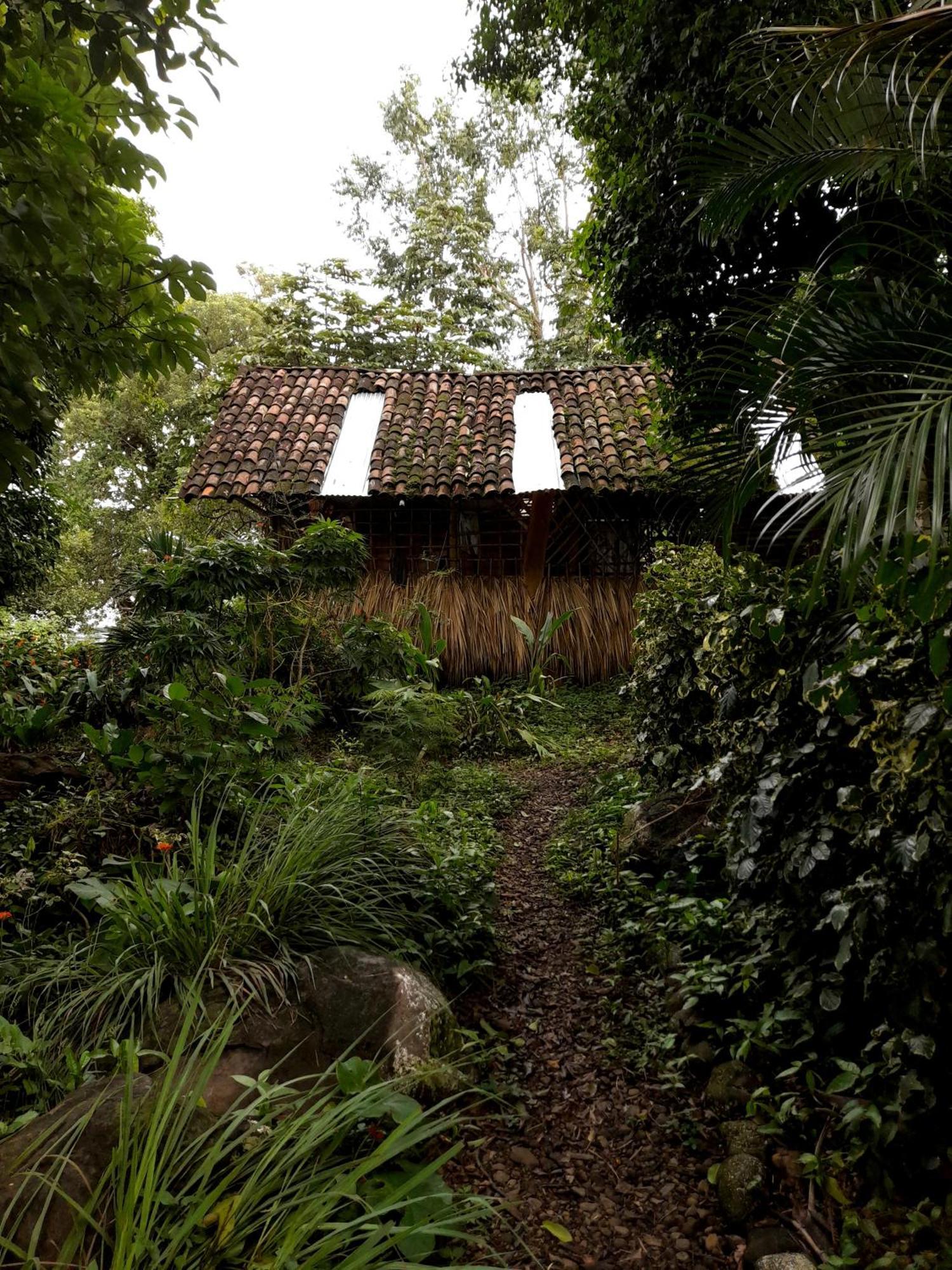 El Bamboo Cabins Balgue Екстер'єр фото