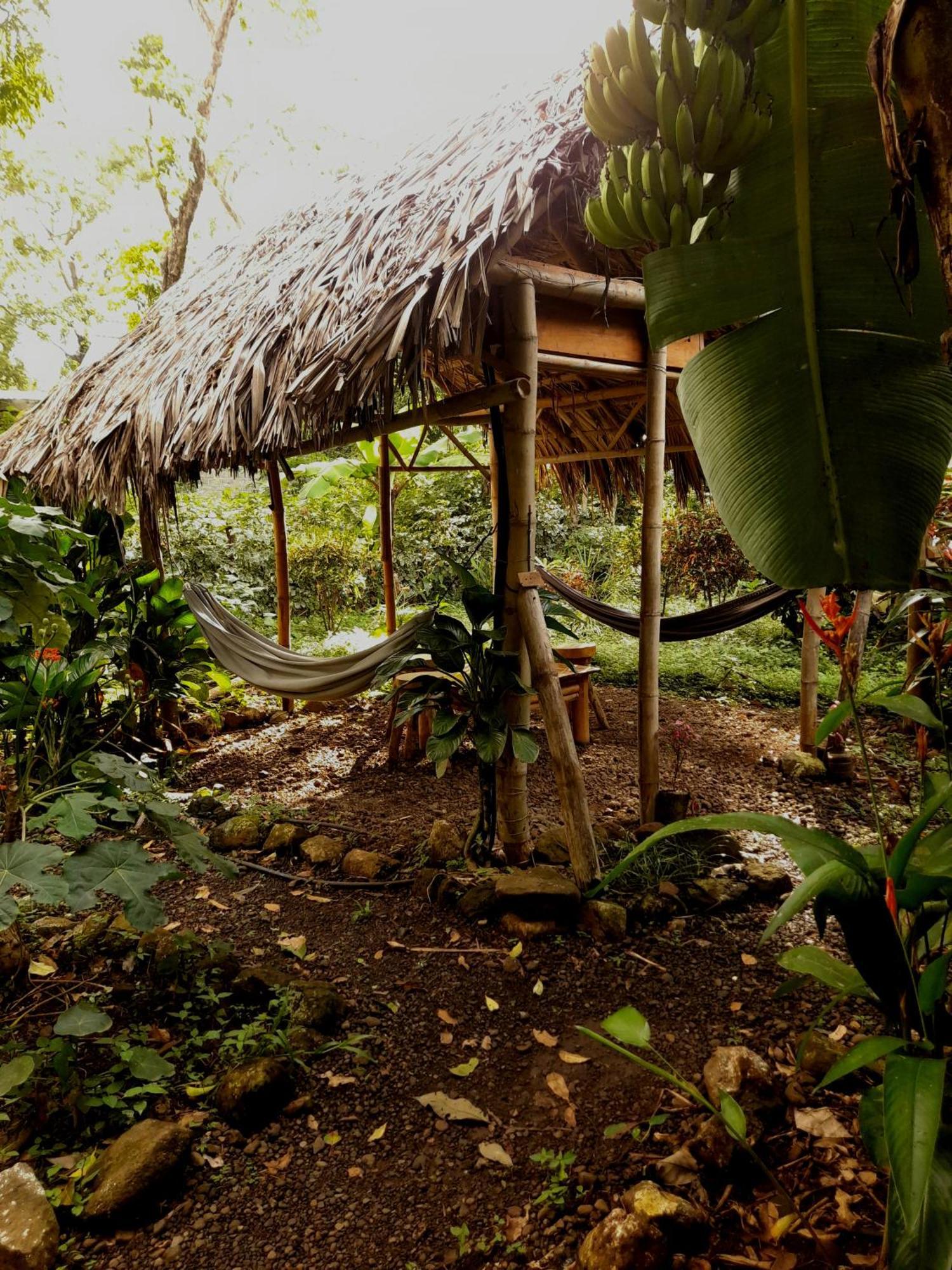 El Bamboo Cabins Balgue Екстер'єр фото